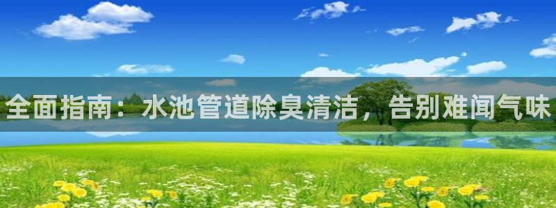尊龙 5：全面指南：水池管道除臭清洁，告别难闻气味