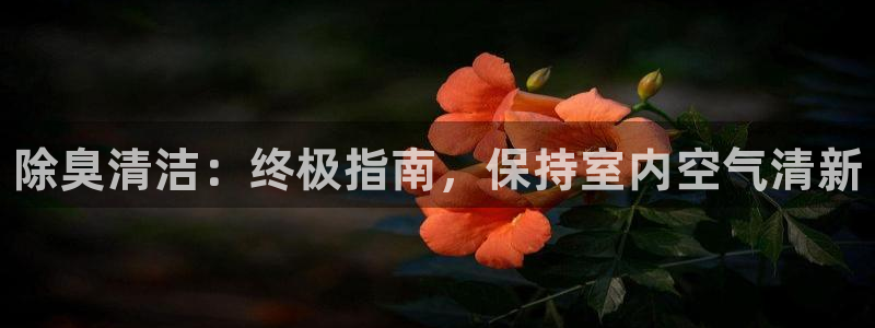 尊龙凯时app官网：