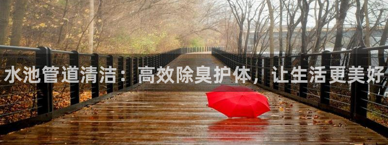 尊龙凯时网页版