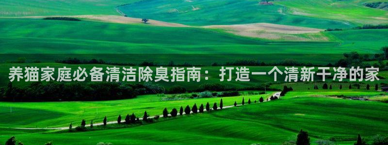 尊龙凯时不朽情缘