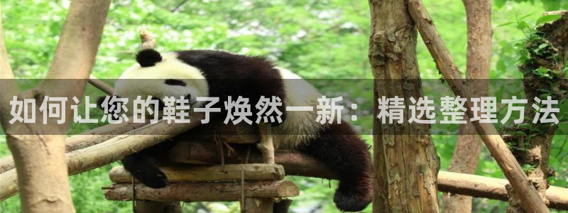 尊龙凯时 人生就是搏首页