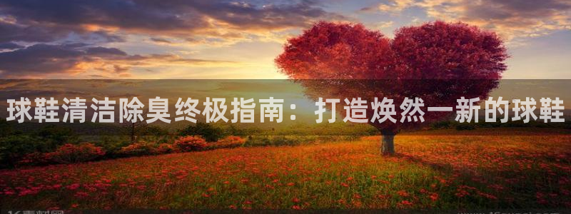 尊龙凯时人生就是搏 品牌专区：球鞋清洁除臭终极指南：打造