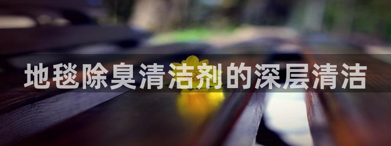 尊龙电子：地毯除臭清洁剂的深层清洁