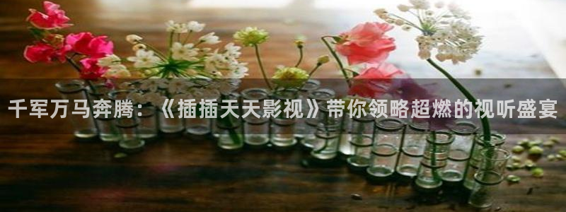 神马电影院午夜老子